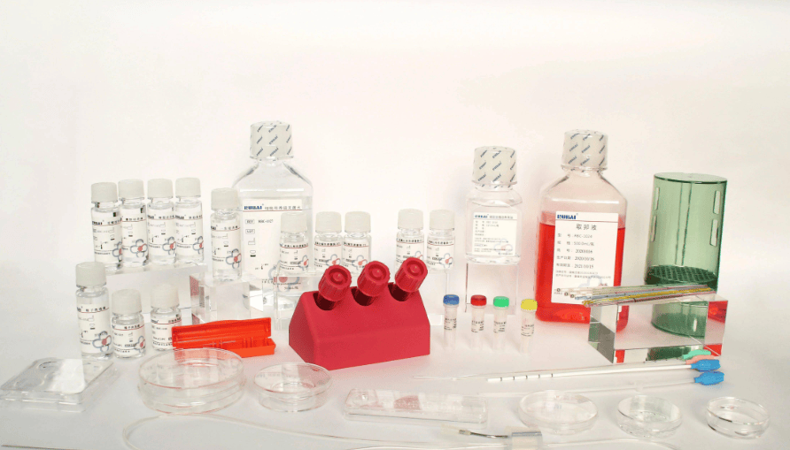 2025年全球及中国间二异丙苯 (m-D